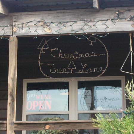 Rural Life On A Real Christmas Tree Farm! Hallmark Experience! Ozark Exterior foto
