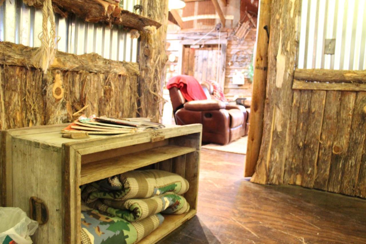 Rural Life On A Real Christmas Tree Farm! Hallmark Experience! Ozark Exterior foto