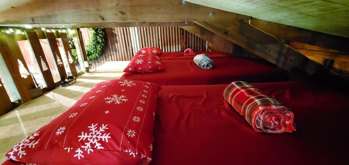 Rural Life On A Real Christmas Tree Farm! Hallmark Experience! Ozark Exterior foto
